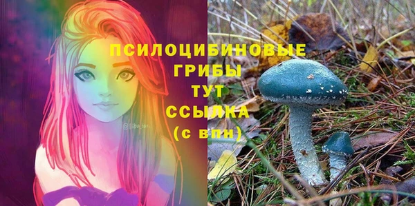 COCAINE Алексеевка