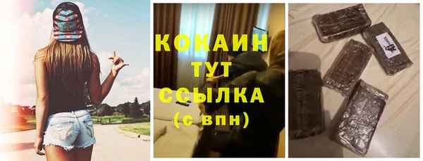 соль ск Абаза