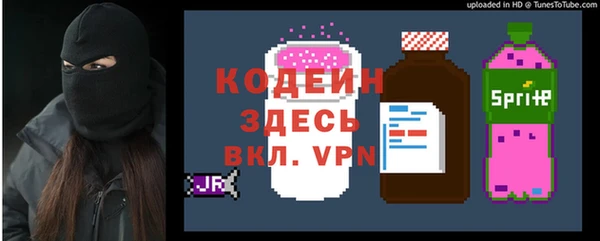 соль ск Абаза