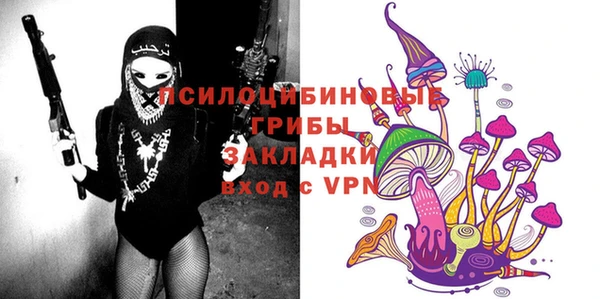 соль ск Абаза