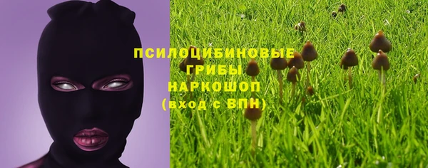 эйфоретик Абинск