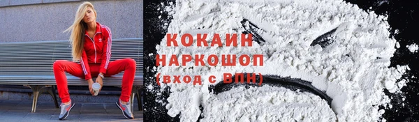 соль ск Абаза
