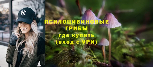 молекула духа Алзамай