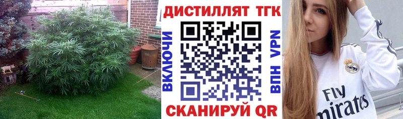 дарнет шоп  Сокол  ТГК вейп 